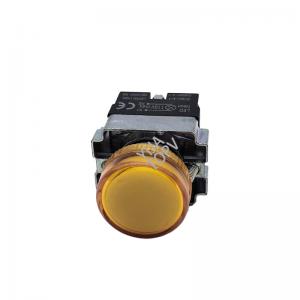 LAY5-BV series Push button switch with lamp 